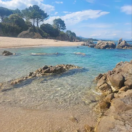 Architecte Vue Solaro